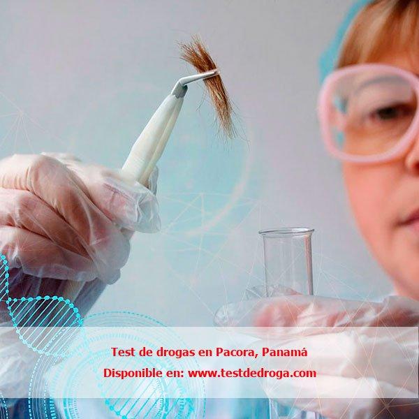 Test de drogas con cabello en Pacora, Panamá